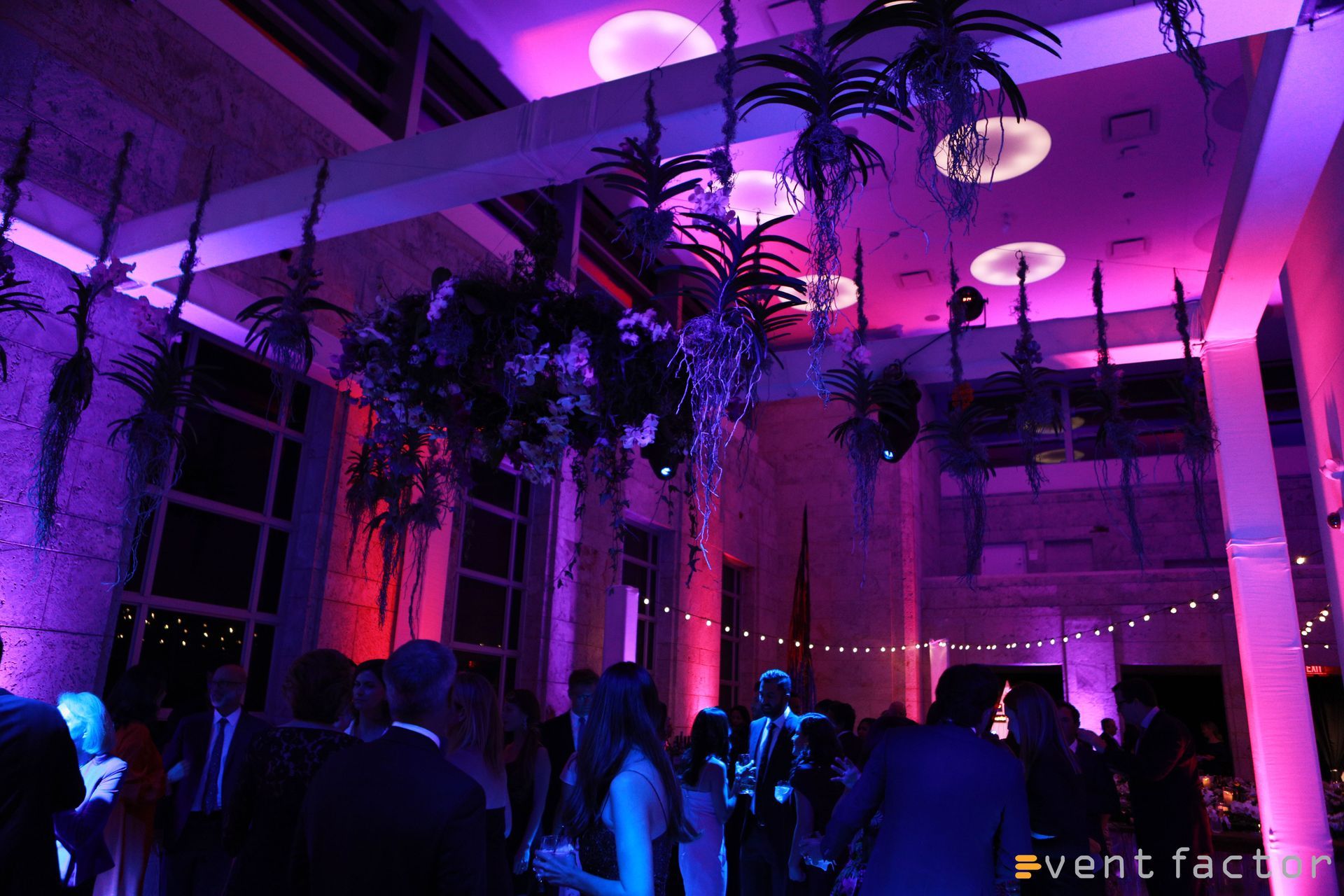 Crowd in a purple-lit indoor event space with tall palm trees and string lights