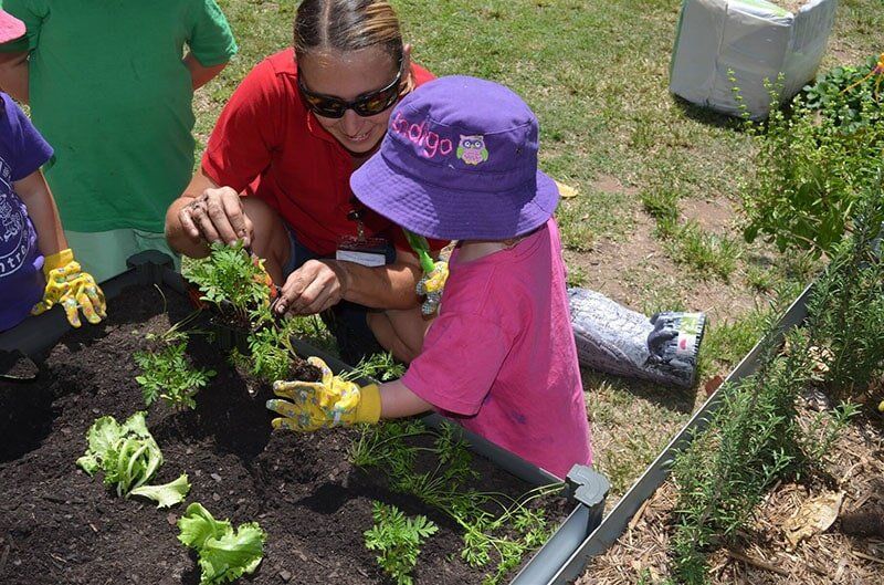 Child And Teacher Planting Vegetables — Child Care in Bowen, QLD