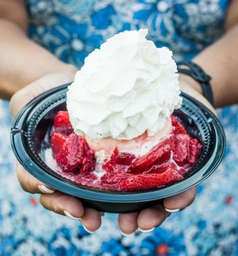 Bowl of red berry dessert topped with whipped cream, held in hands outdoors