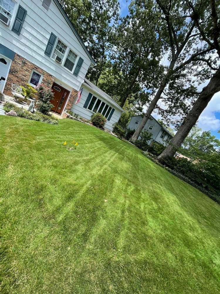 Green lawn slopes upward toward a two-story white house with green shutters and brown door.