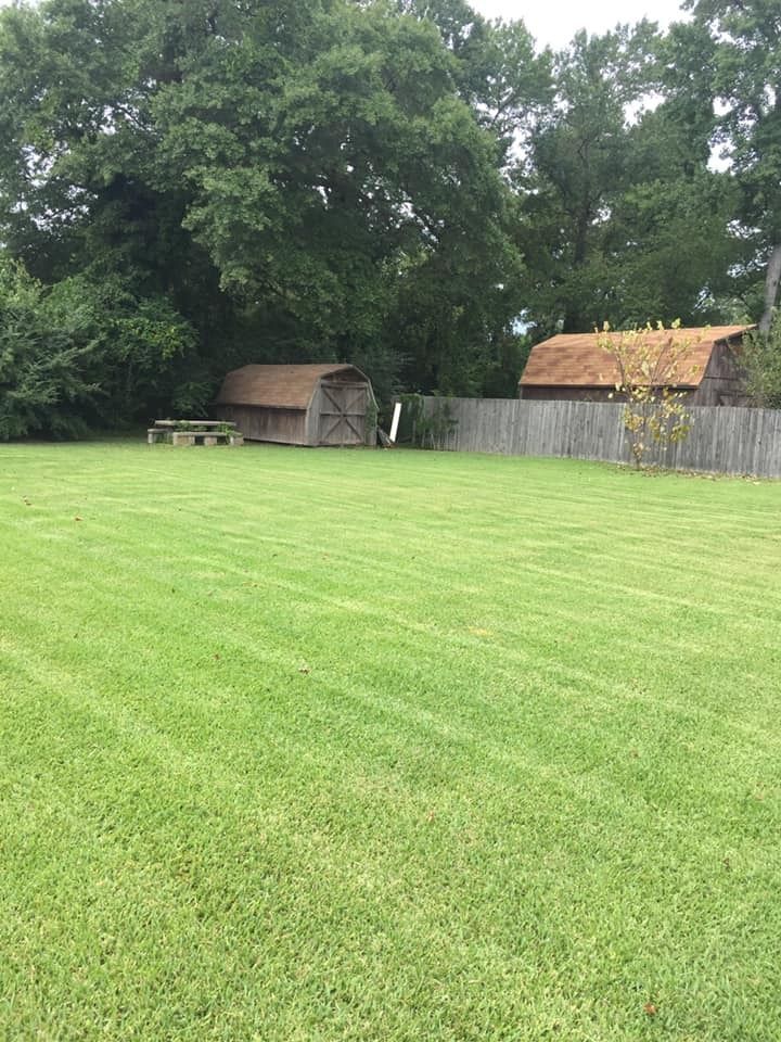 Green lawn with two sheds, one with a wooden roof, and trees in the background.