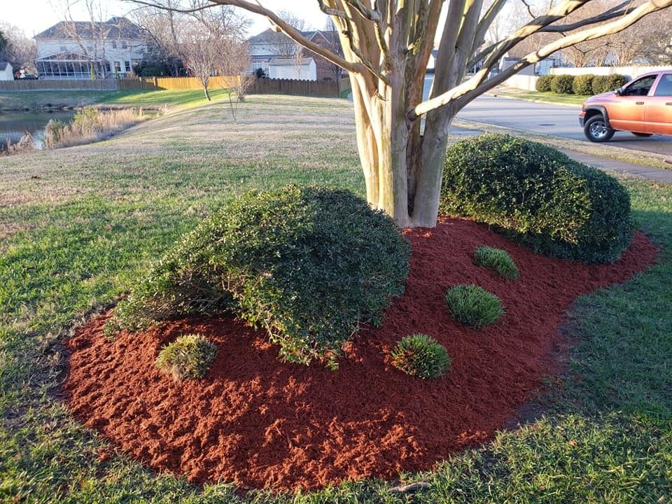 A tree encircled by red mulch with green bushes and small plants in a grassy yard, near a pond and street.