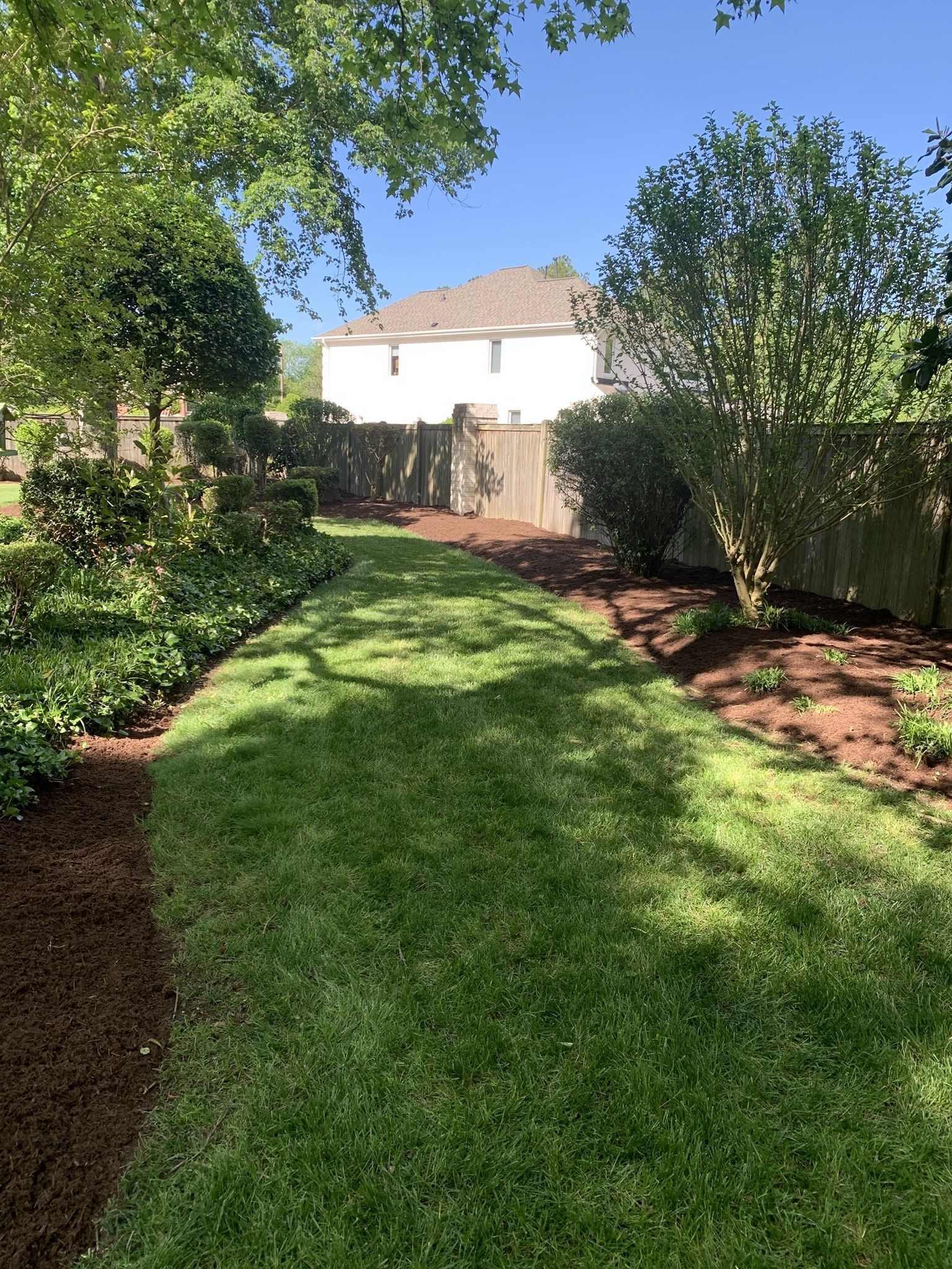 A lush green lawn surrounded by mulched garden beds and a wooden fence; a house in the background.