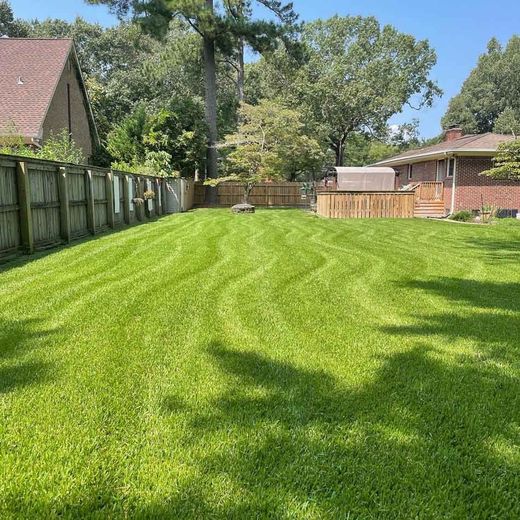 Lush green lawn with wavy mowing pattern, bordered by fences and houses on a sunny day.