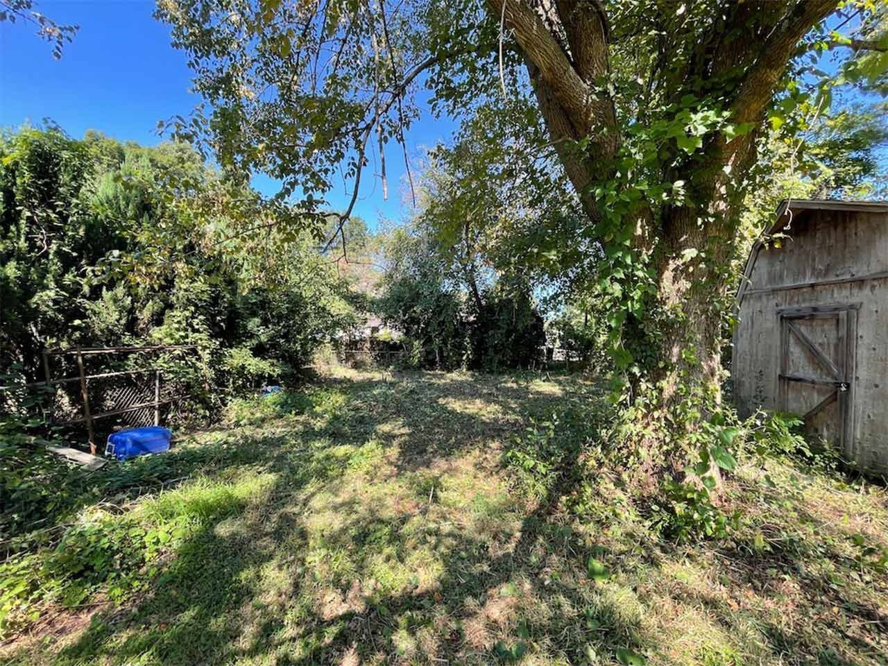 Grassy yard with a large tree, shed, and surrounding greenery under a blue sky.