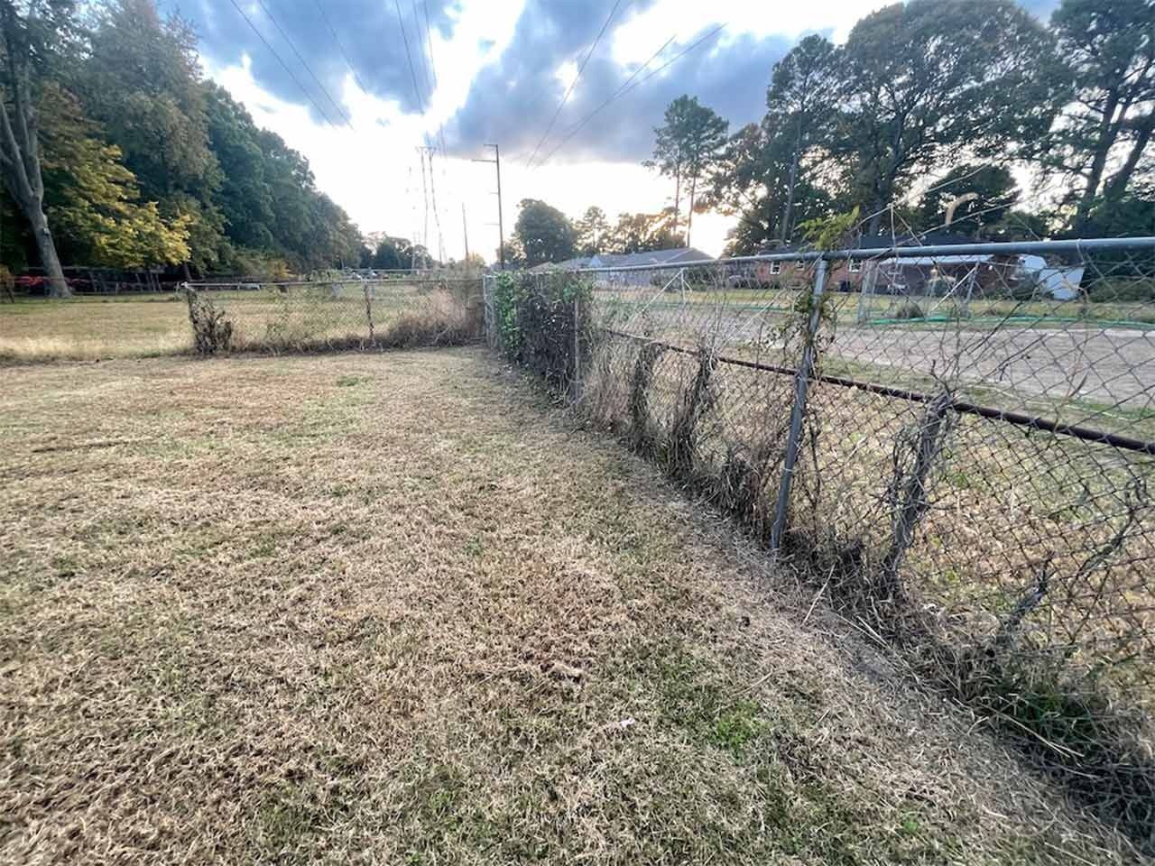 A chain-link fence borders dry grass in a residential area; overcast sky.