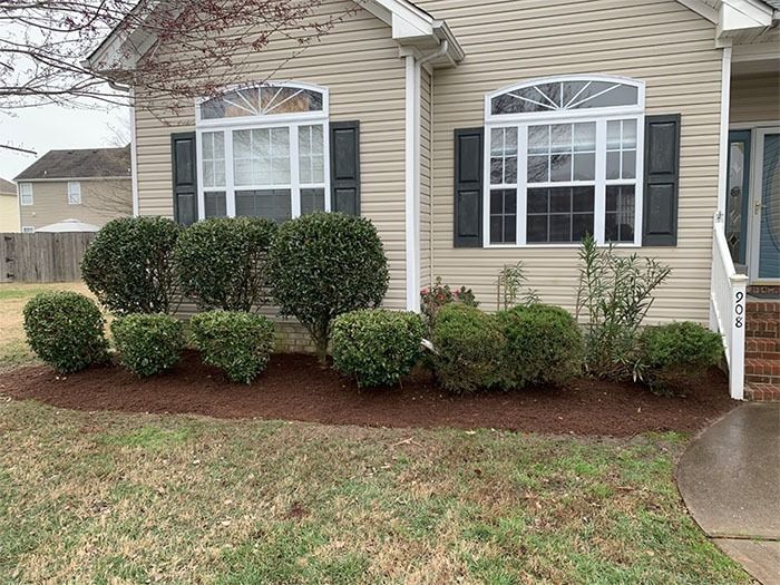 Front yard of a tan house with green bushes and brown mulch bordering the lawn.