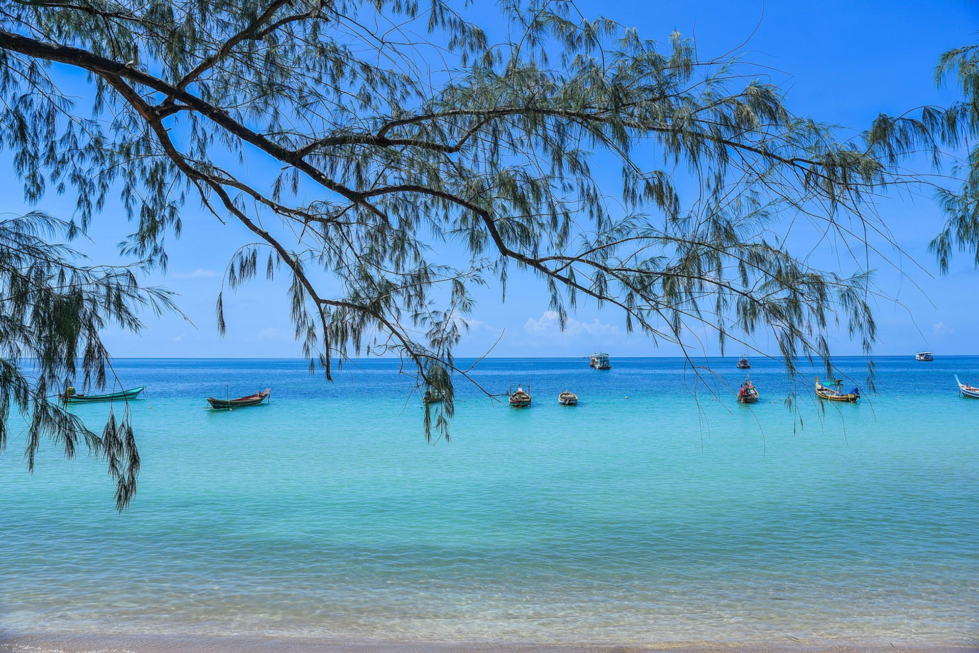 Bright turquoise ocean scene with boats and a branch overhead, blue sky.
