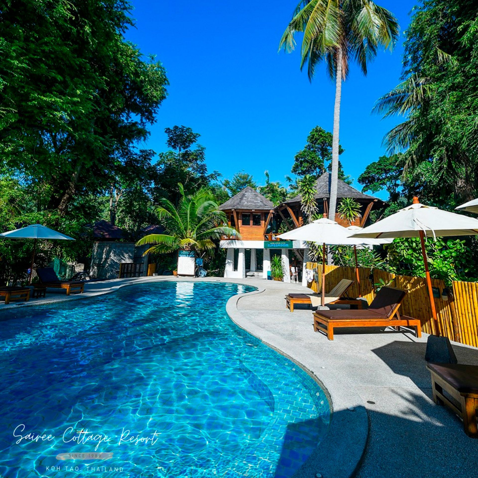 Swimming pool at a resort with lounge chairs, umbrellas, and lush tropical foliage under a clear blue sky.