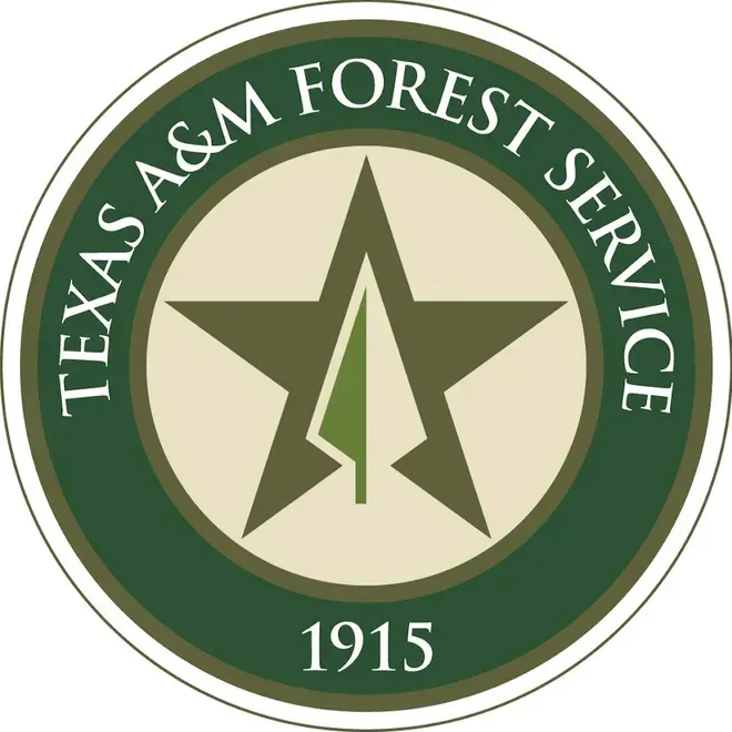 The logo for the texas a & m forest service