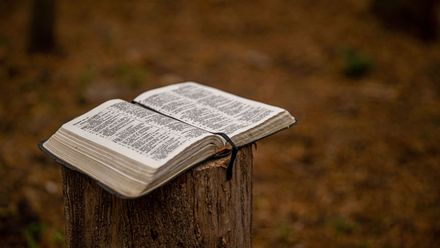 Bible Study Monday, September 28th through October 26, 2026.