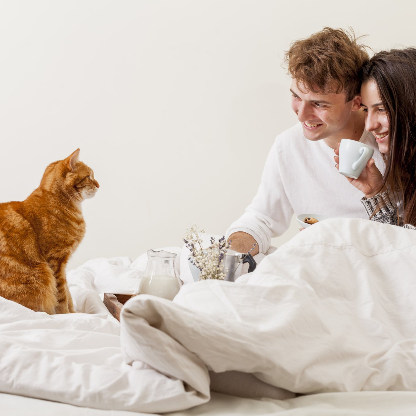 Challenge Gelukkig nieuwjaar voor je kat
