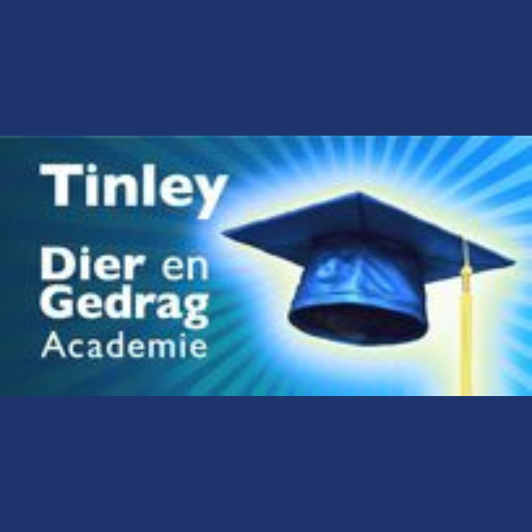 Tinley kattengedragstherapeuten