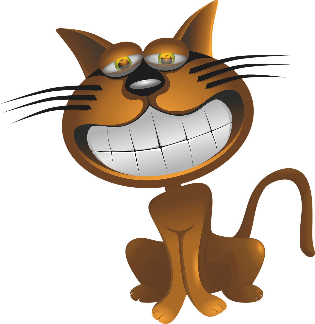 Kattenbeet