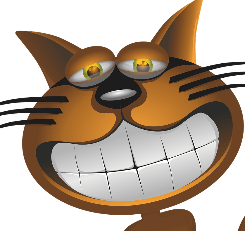 kattenbeet