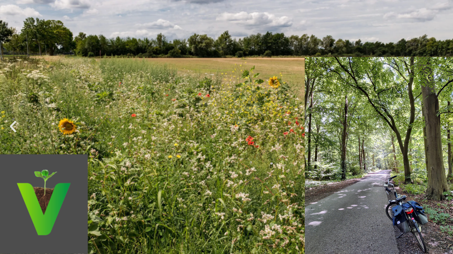 landschap met biodiversiteit