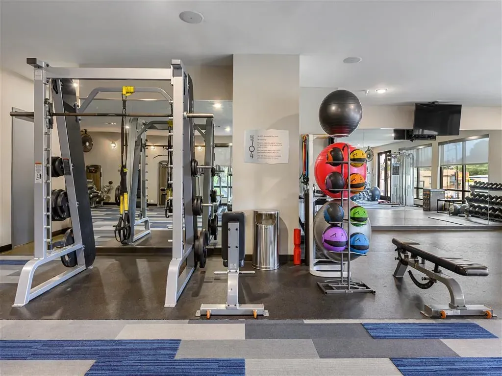 Modern gym with squat rack, free weights, medicine balls, and benches.