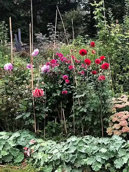 bloementuin2