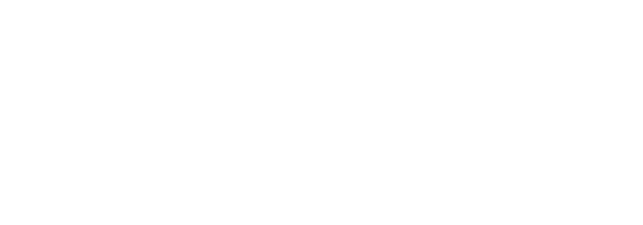 LOGO PAKETA BRANCO