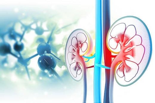 DR. CESÁREO NAJAR PINI - Urología oncológica