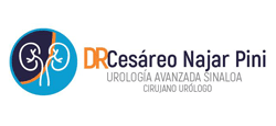 NAJAR PINI CES&Aacute;REO DR.