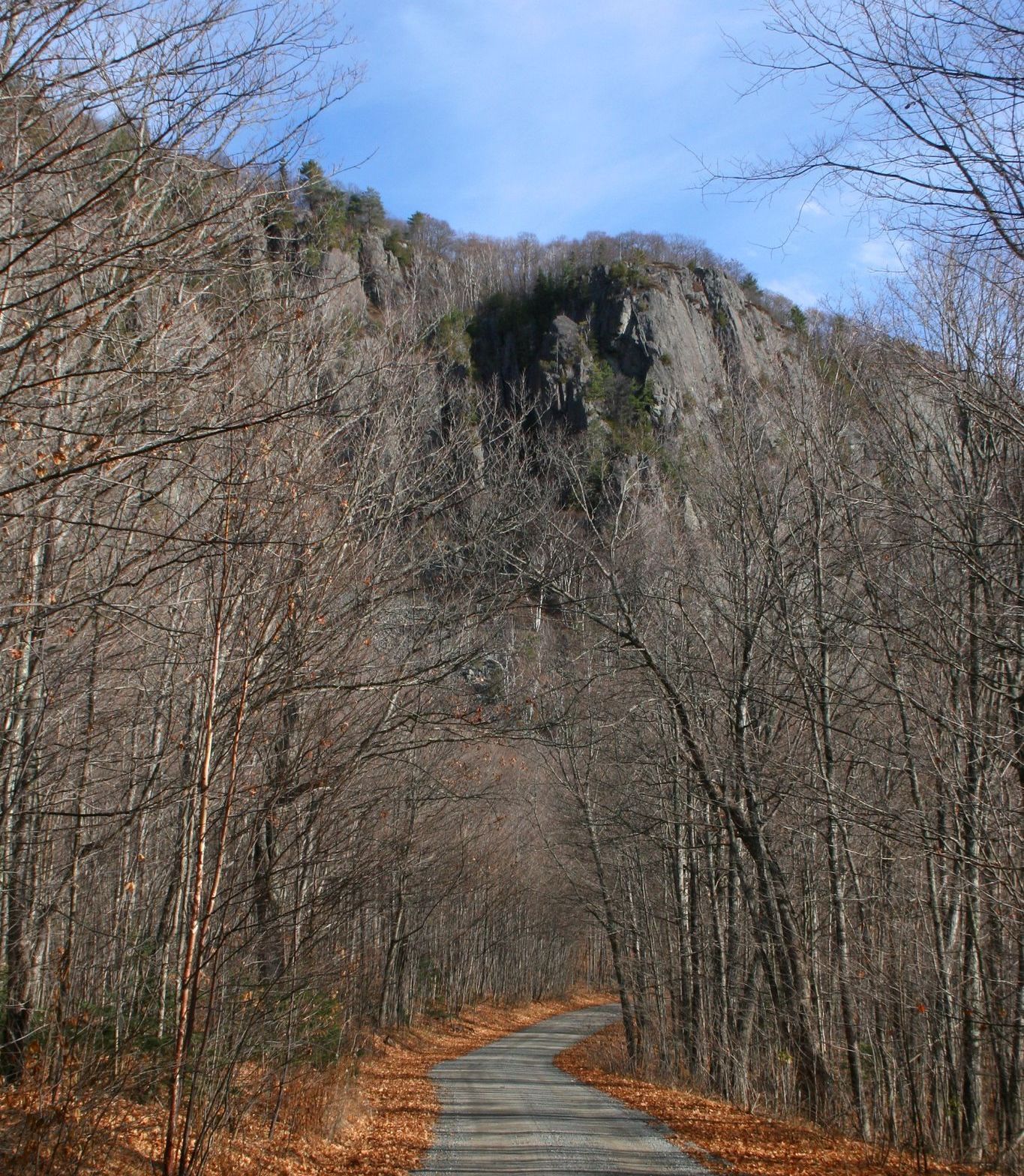 Road through a leafless forest leads to a rocky mountain under a blue sky.