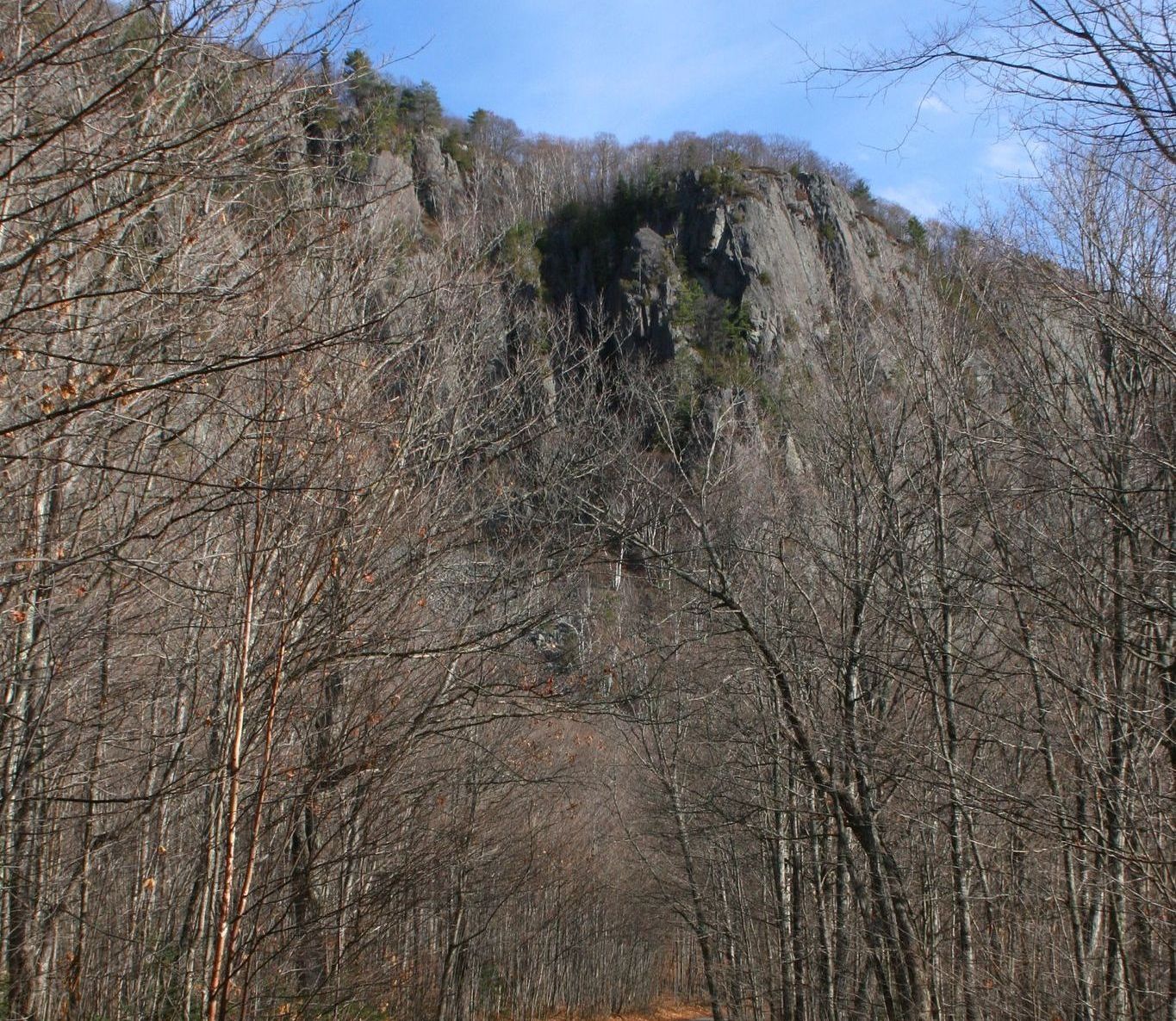 A rocky mountain cliff face rises above a bare tree forest on a sunny day.