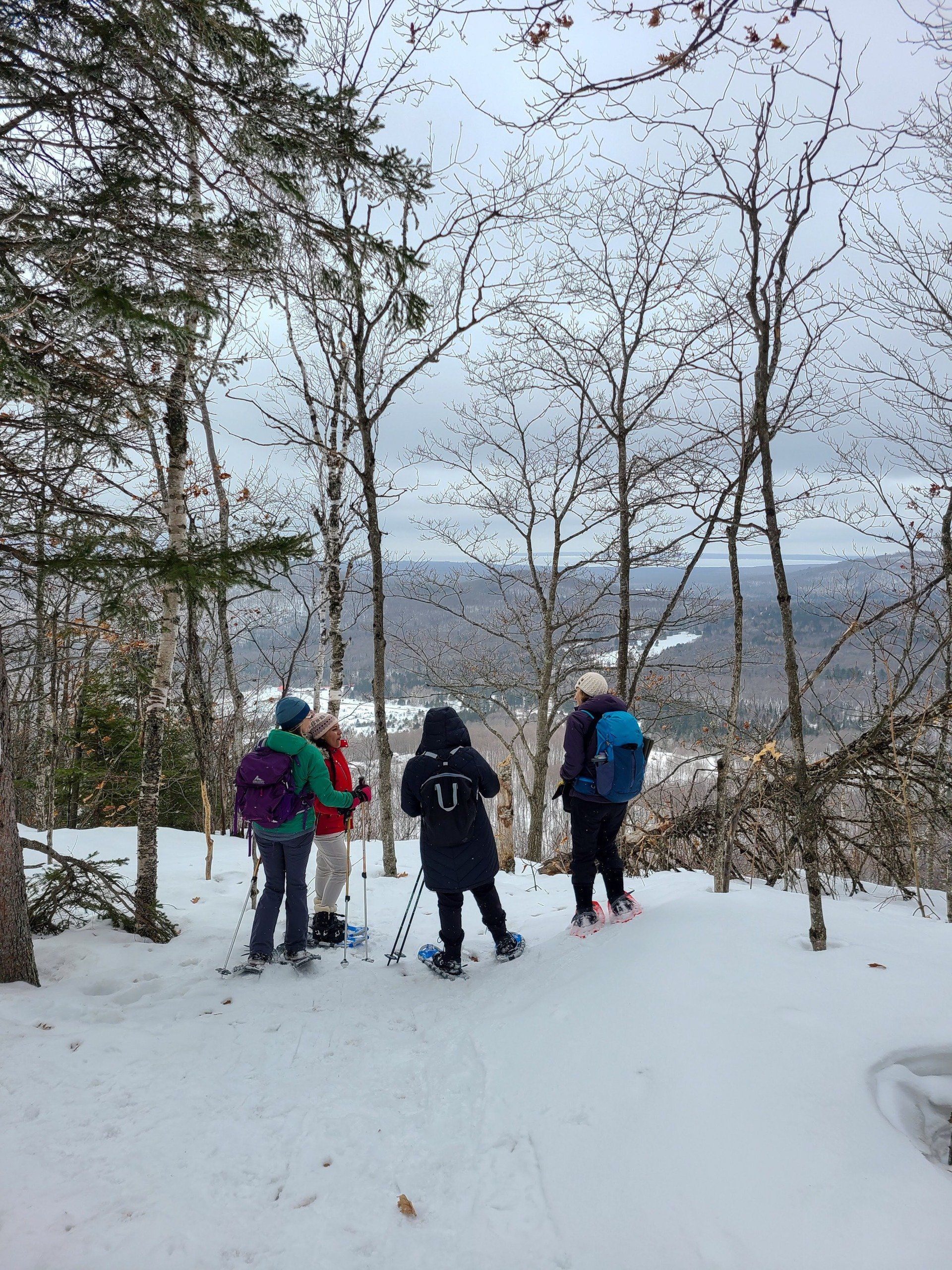 Four people snowshoeing on a snowy trail, overlooking a landscape of trees and mountains on an overcast day.