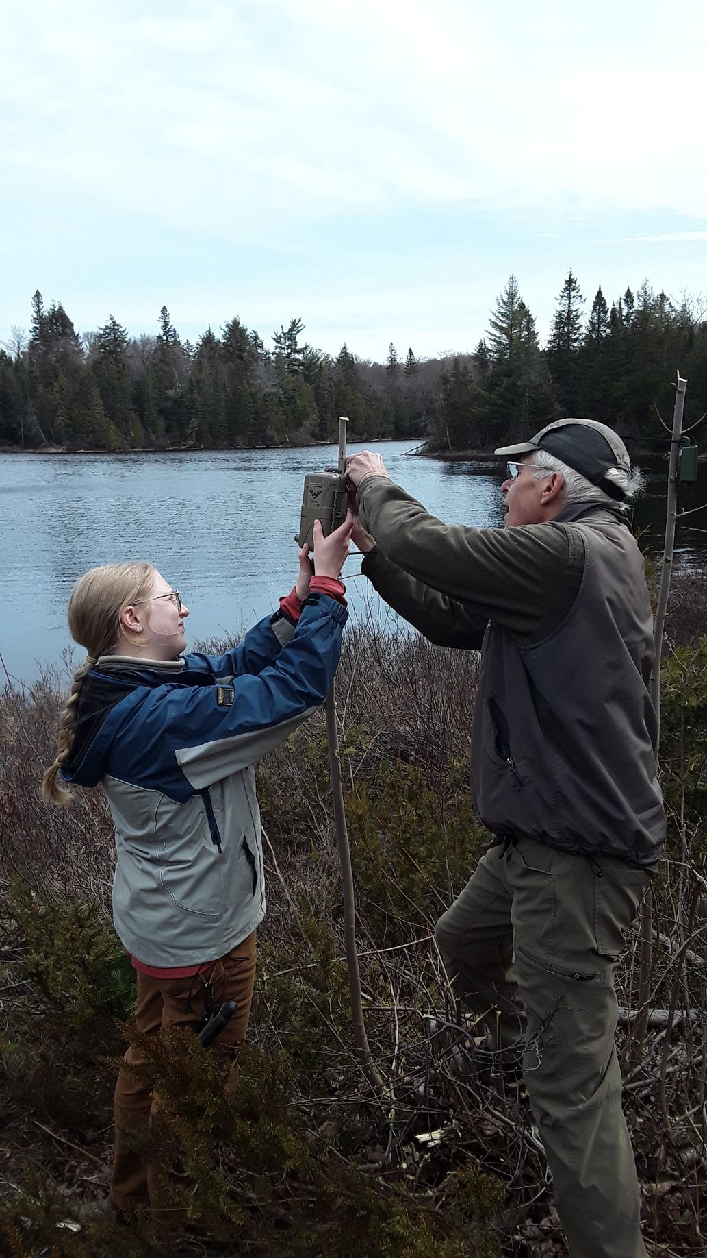 Algoma University graduate student Sophia Bahm and AHC volunteer Joe Meating install acoustic recorders for a two-year study examining bat activity along powerline corridors.