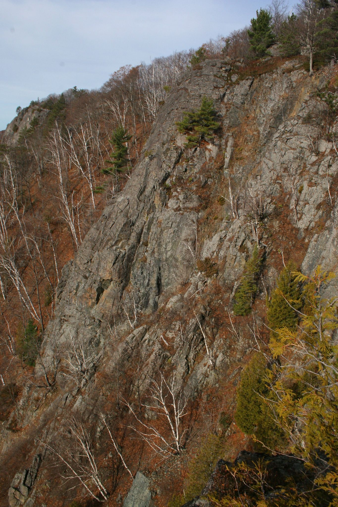 Steep rocky cliff with sparse autumn trees under a partly cloudy sky
