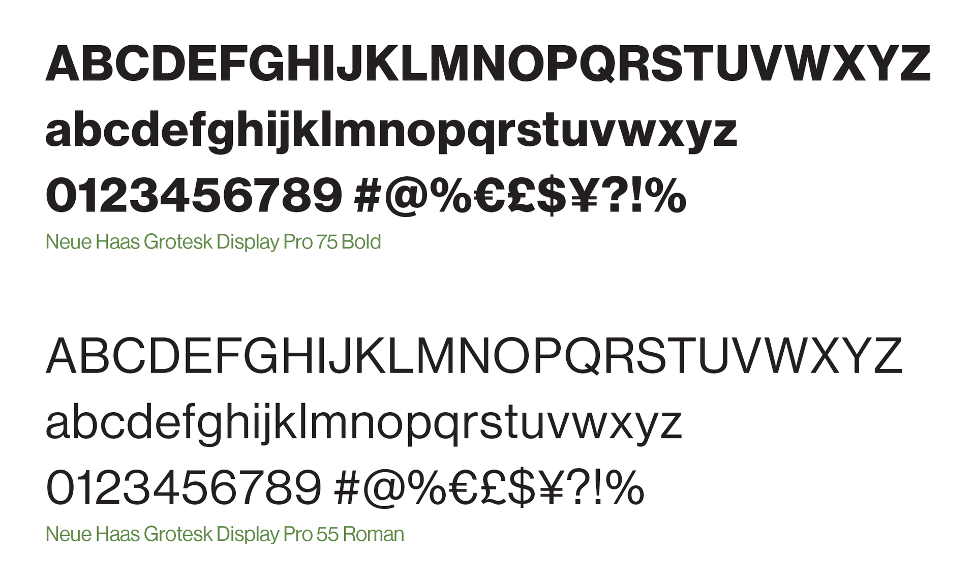 Two font examples: Neue Haas Grotesk Display Pro 75 Bold and Regular.