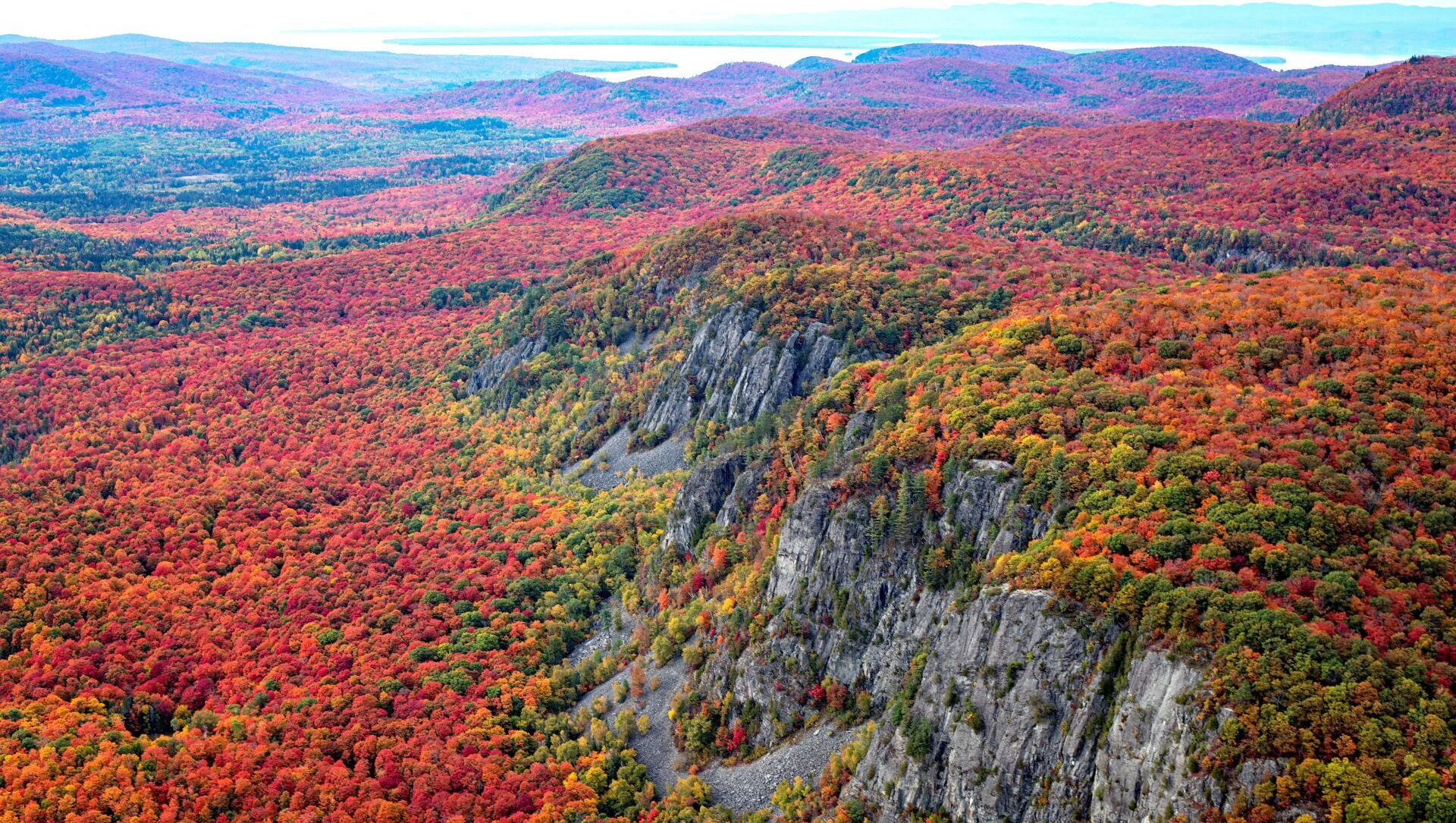 Vibrant autumn forest with red, orange, and green trees covering rolling hills and a rocky cliffside.