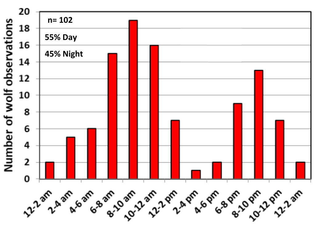 Bar graph showing wolf observations by time of day, with most activity between 8 am and 12 pm.