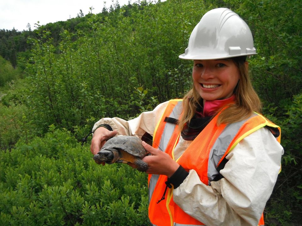 Woman in safety vest and helmet holding a turtle; outdoors near green bushes.