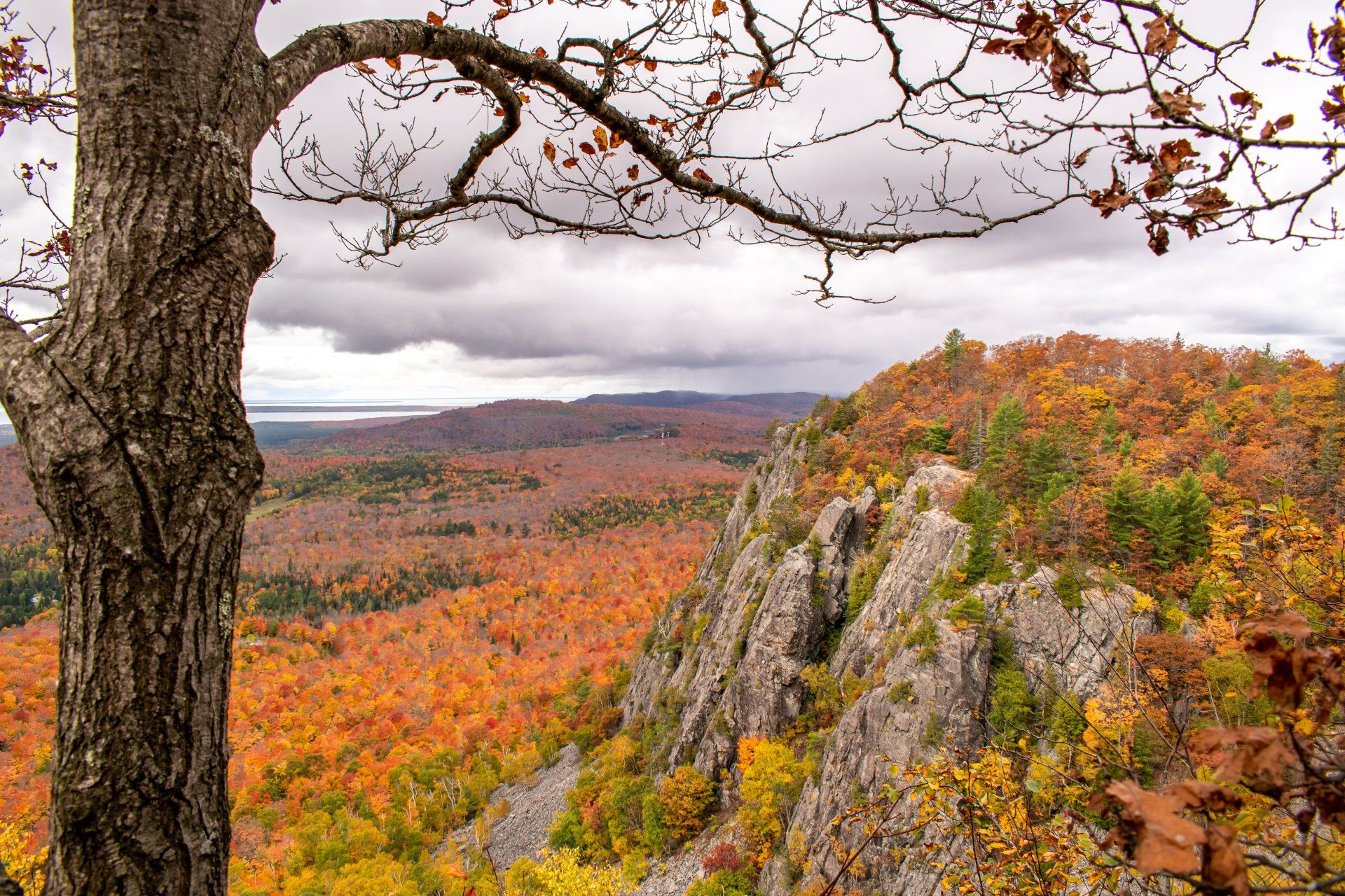 Autumn forest view with rocky ridge and tree in foreground. Vibrant orange and yellow foliage under cloudy sky.