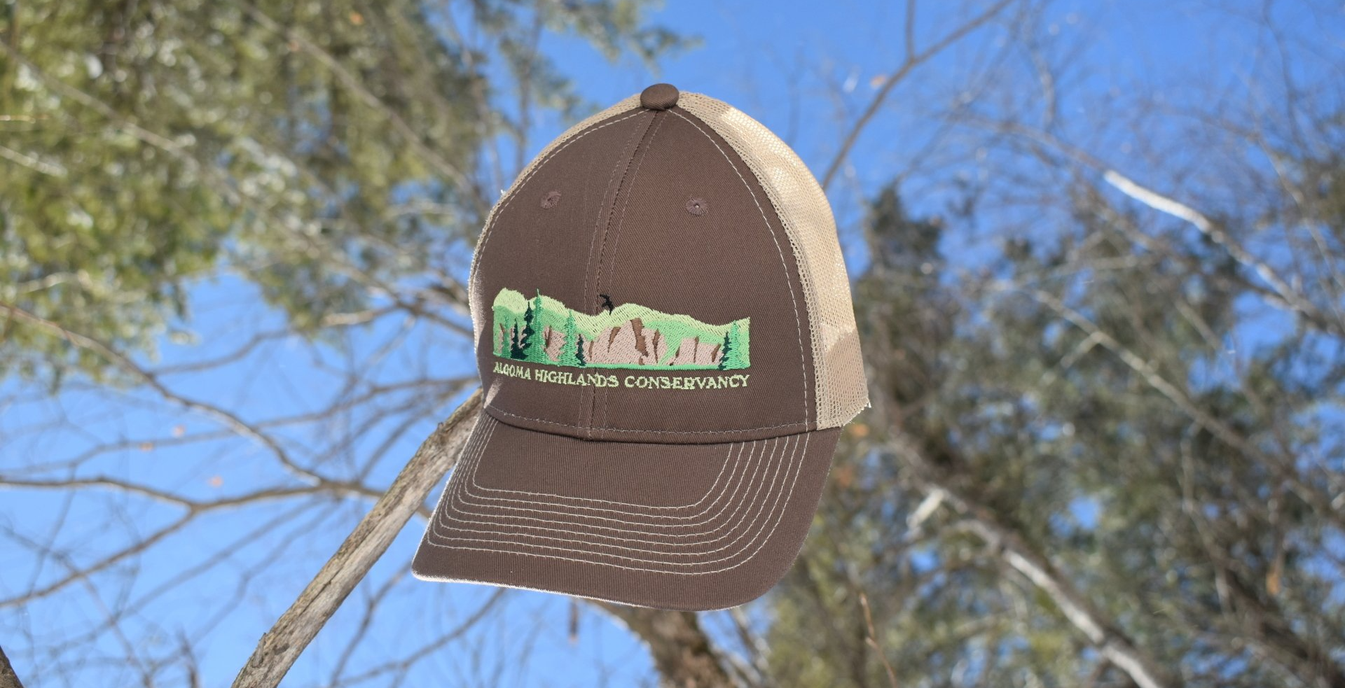 Brown baseball cap with green logo hanging outdoors against a blue sky and tree branches