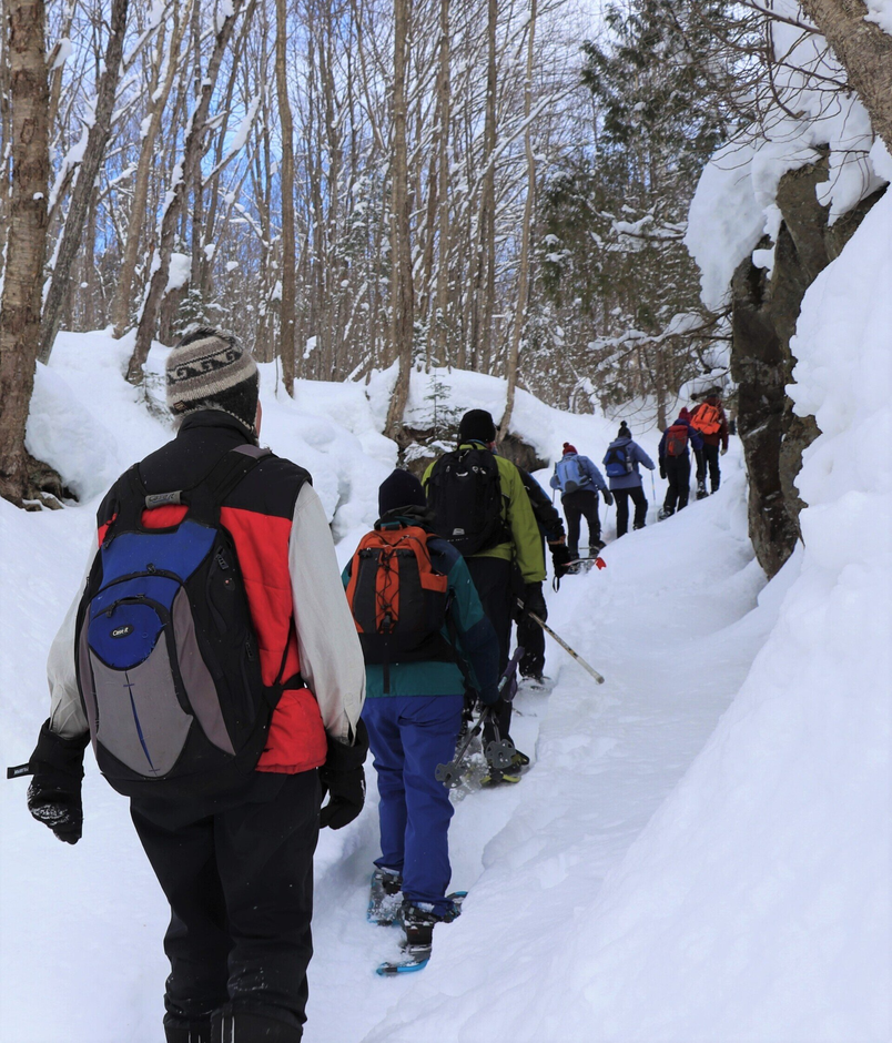 People snowshoeing along a snowy trail in a forest.