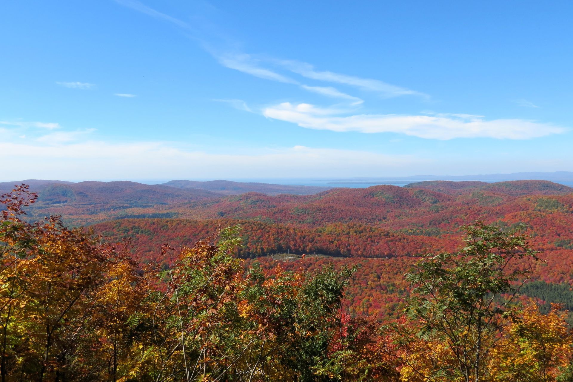 Vast colorful autumn forest landscape under a clear blue sky.