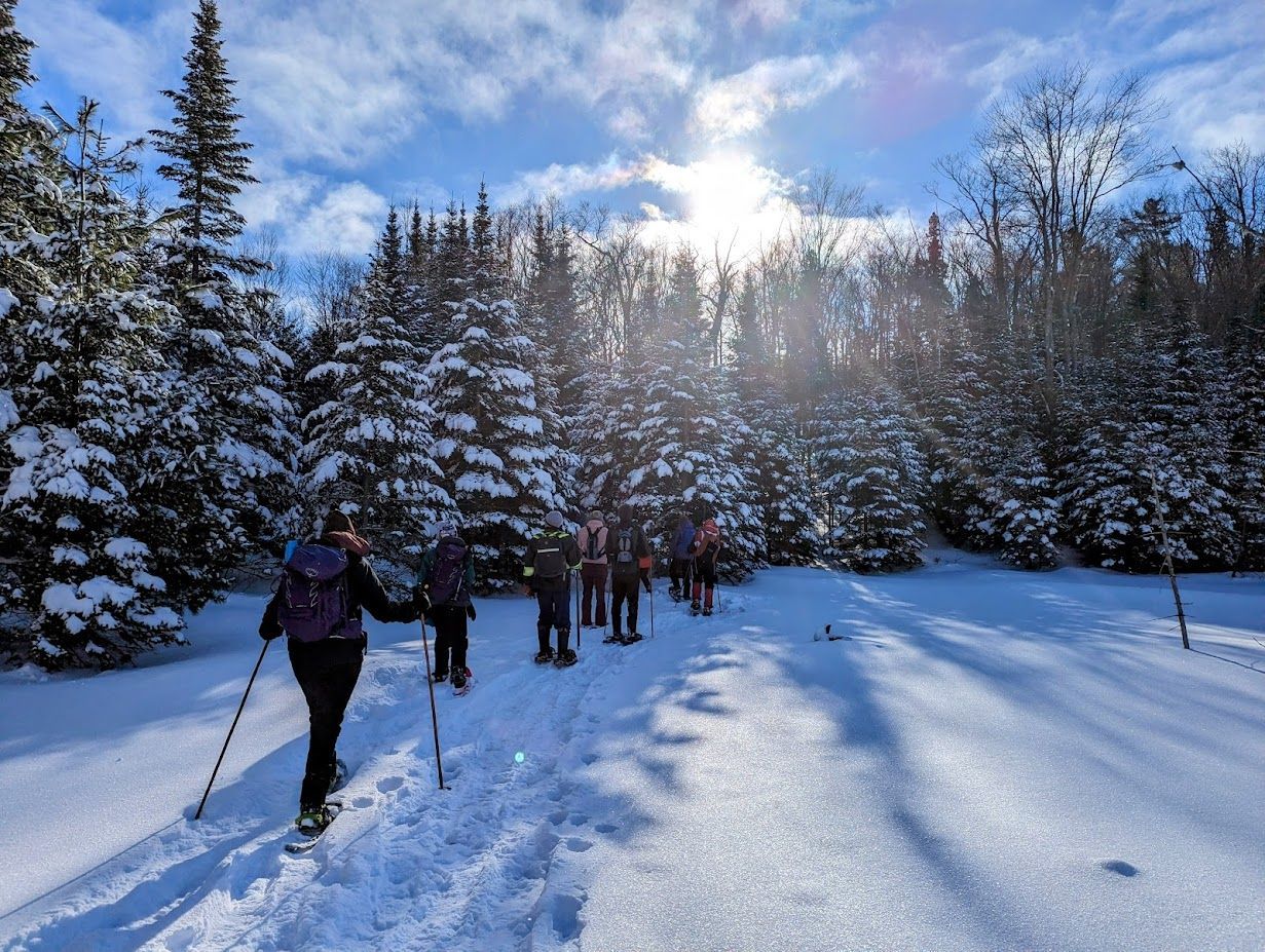Group snowshoes in a snowy forest trail with bright sun.