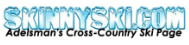 Logo: SkinnySki.com, Adelsman's Cross-Country Ski Page, in light blue with white shadow.