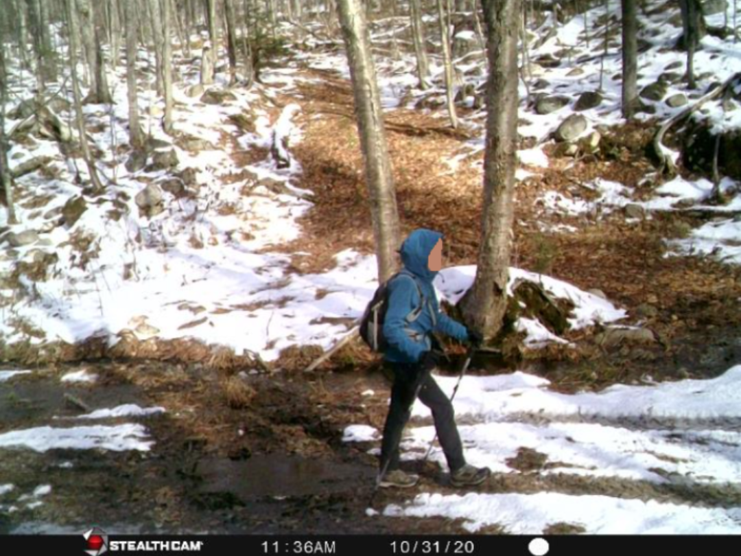 Person in blue jacket hikes a snowy trail, carrying a backpack and walking sticks, near trees.
