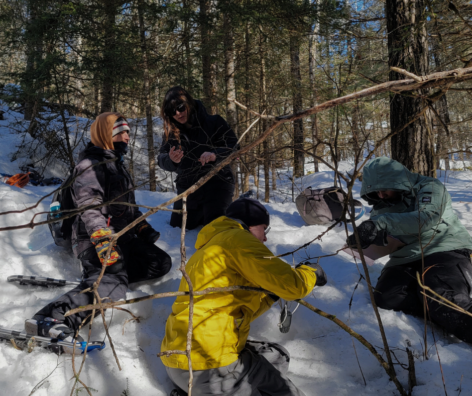 Four people in winter gear in snowy woods, examining a tree branch.