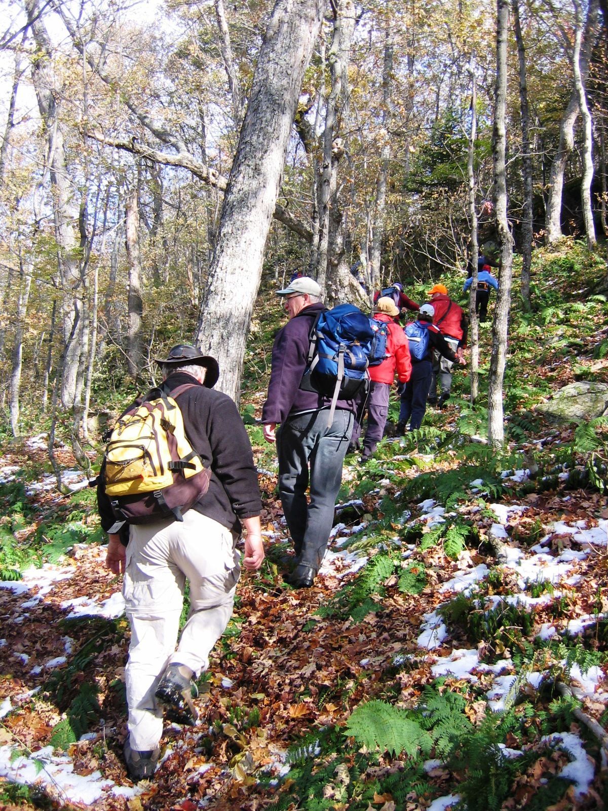 Group of hikers ascending a trail through a forest with fallen leaves and patches of snow.