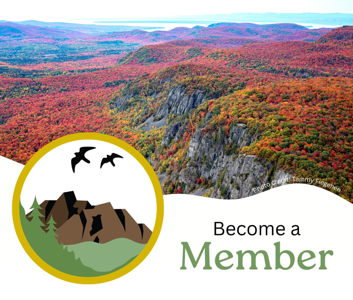 Become a member