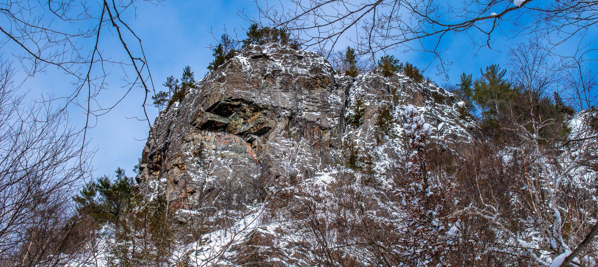 A snow-covered rocky mountain against a bright blue sky, with bare branches in the foreground.