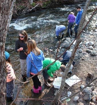 People collecting water samples in a stream. Some are bent over, others standing. Sunny day, rocky shoreline.