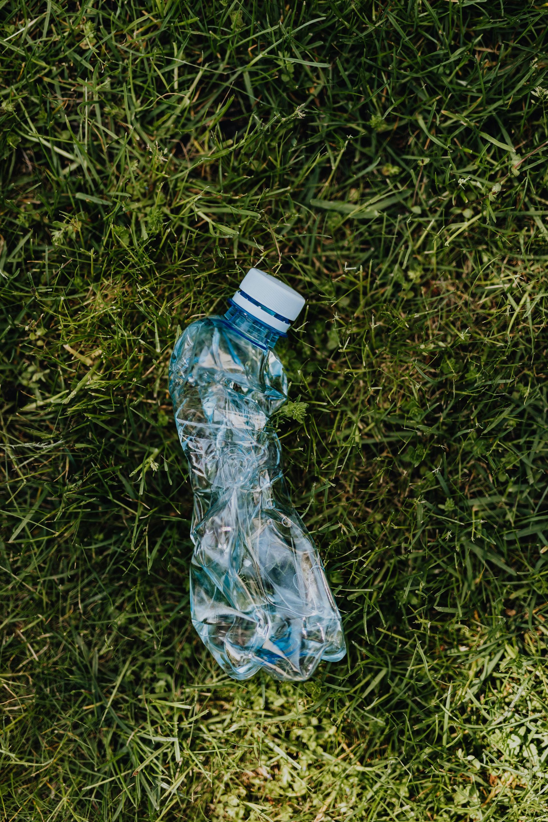 Crushed plastic water bottle on green grass.