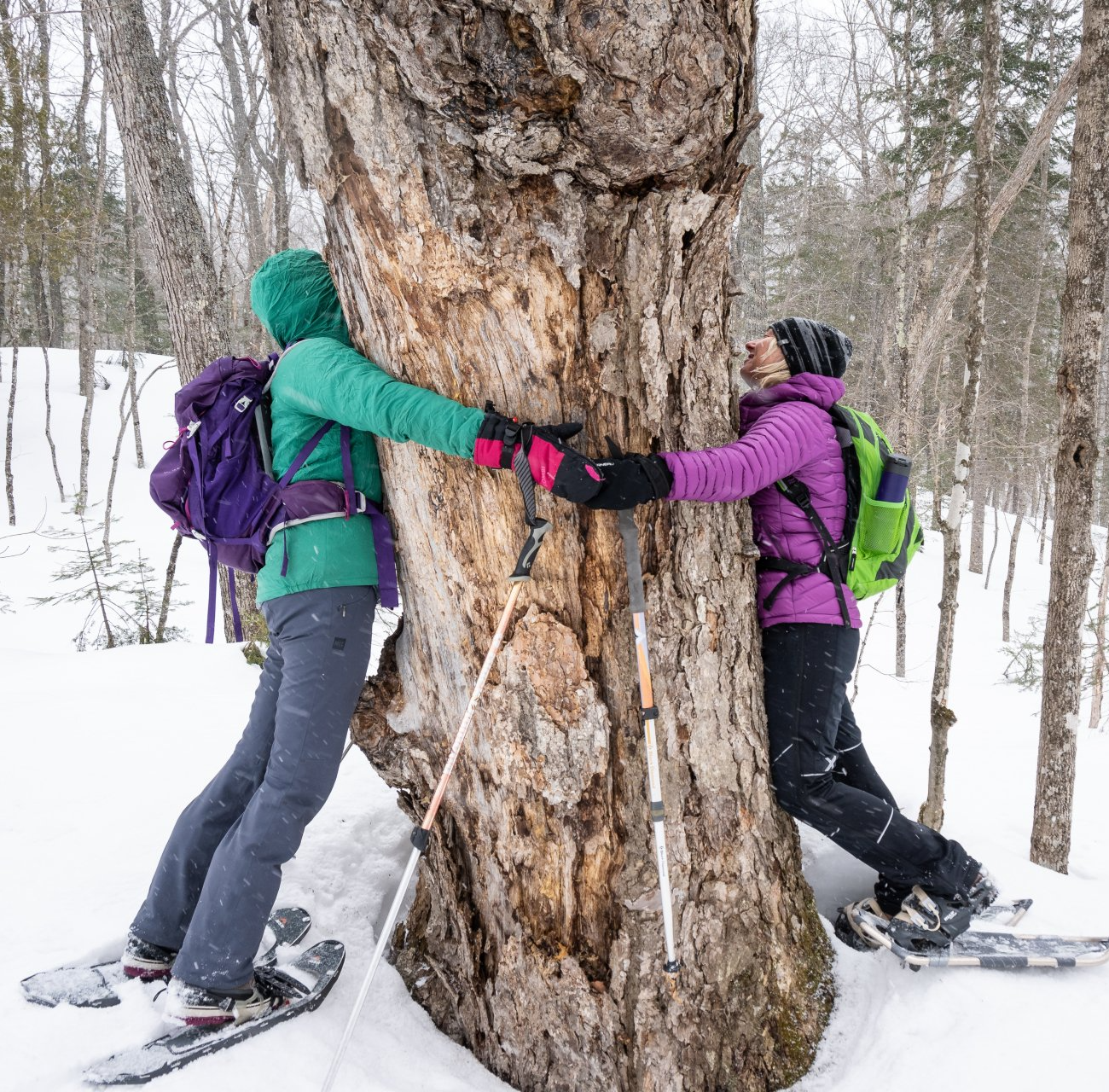 Two people in winter gear hug a tree in a snowy forest.