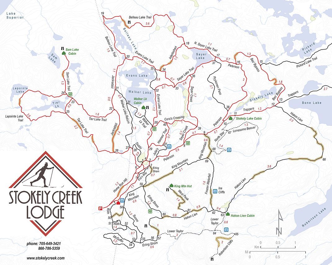 Stokely Creek Loop trail map with colored route lines and labels on a white background