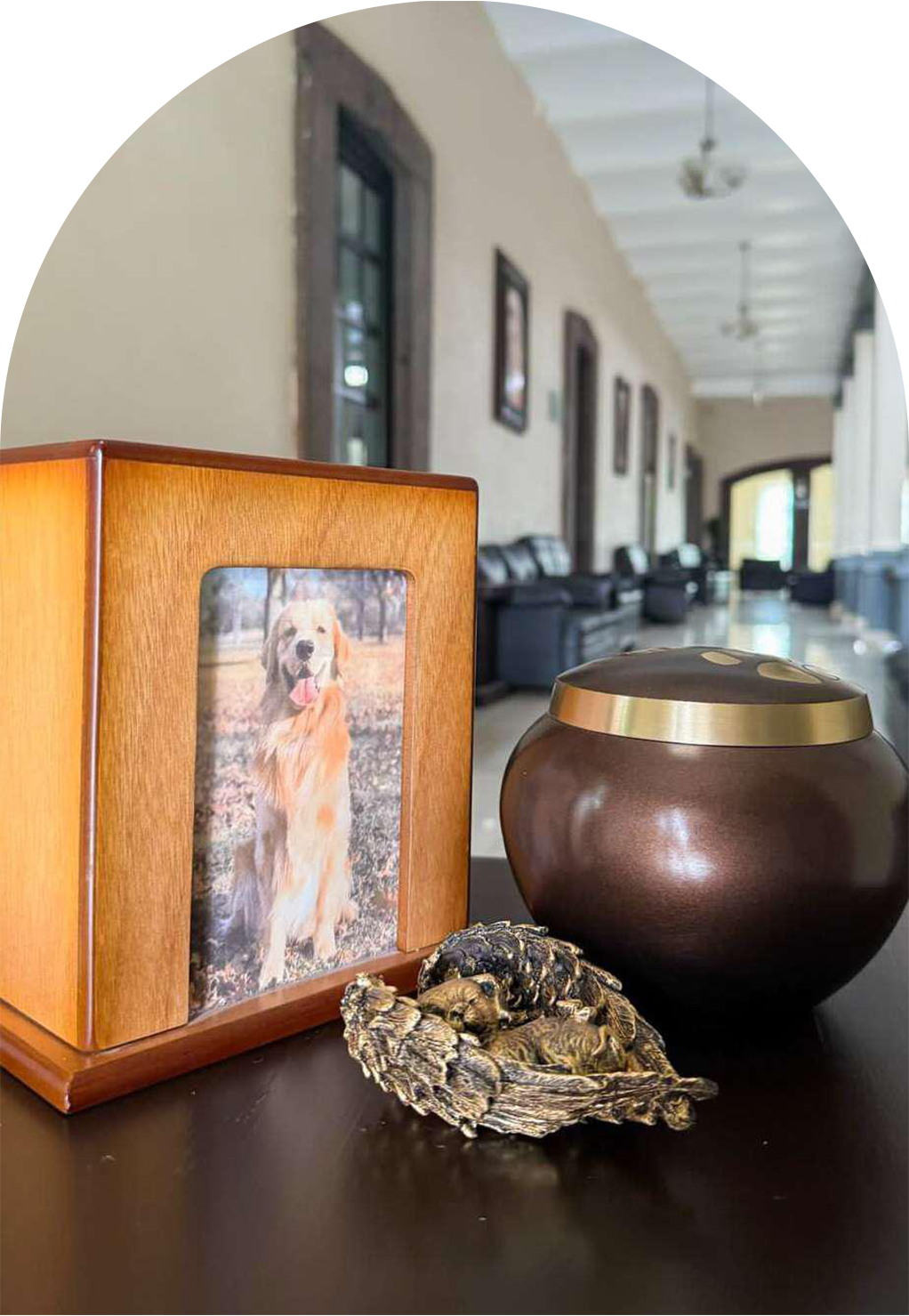 Jardines-Pet Cremaciones